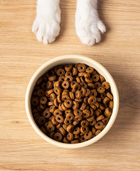 Dog Food | Dog Food And Pet Treats | Nutritious Dog Food