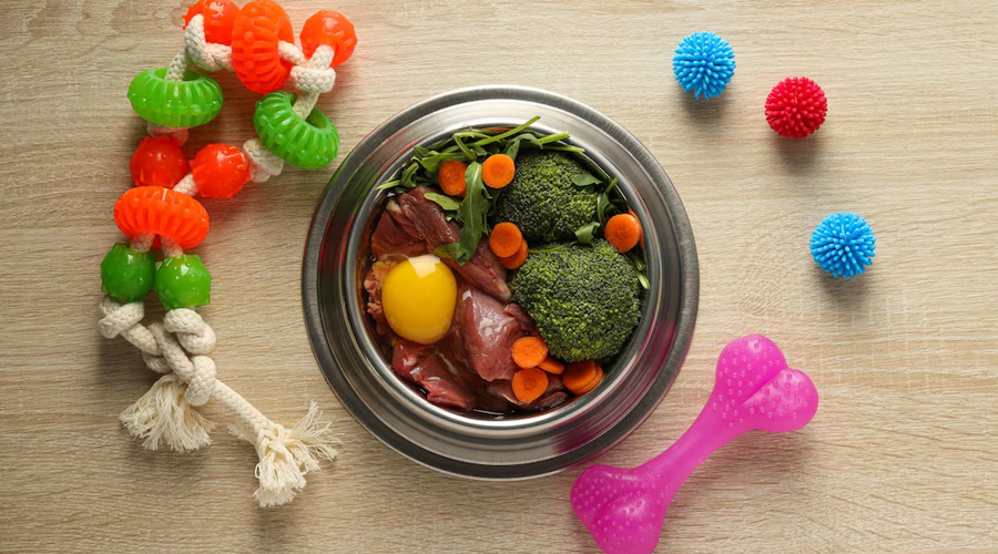 Dog food | Pet Day Care