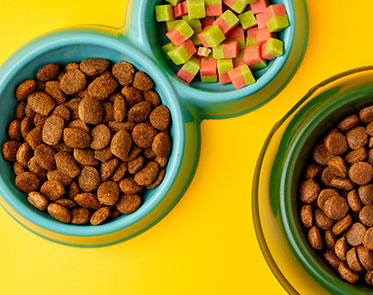 Cat Toys |Dog Toys | Dog Clothes| Dog Food