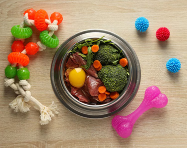 Dog food, Pet Day Care