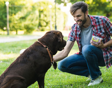 pet-day-care-importance