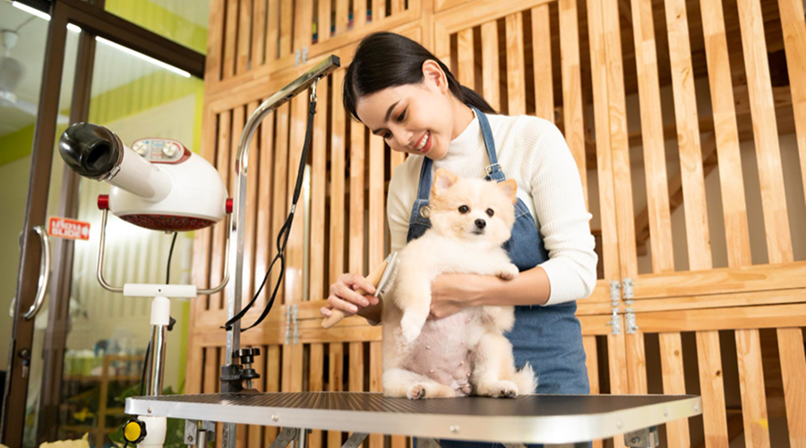 pet salon abu dhabi | Pet Grooming