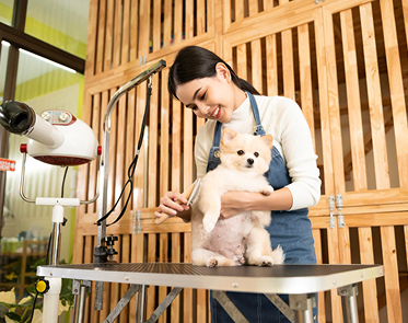 pet salon abu dhabi | Pet Grooming