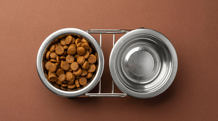 How to Choose the Right Dog Food