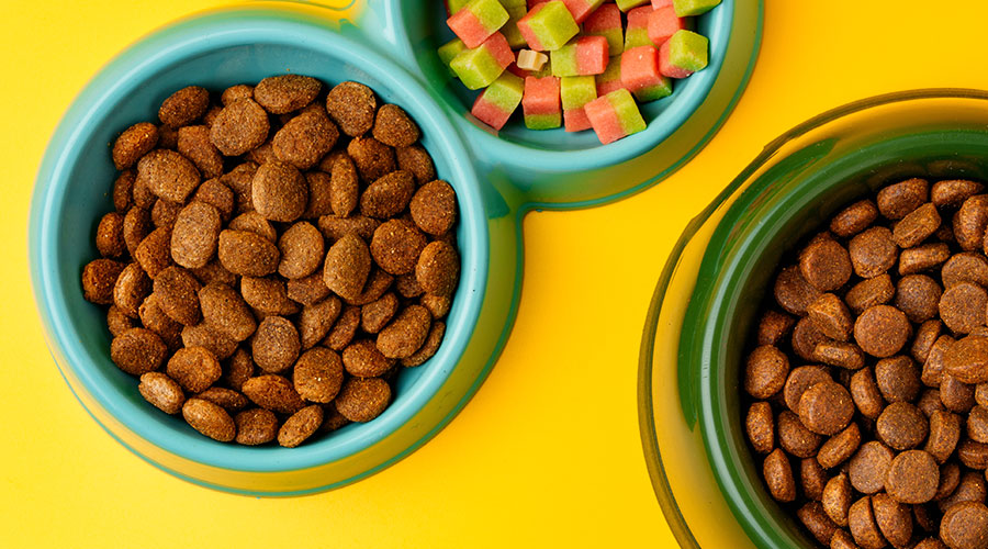 Different Types of Dog Food