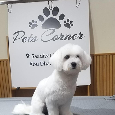 Pet Salon | Pet Salon In Abu Dhabi | Pet Grooming